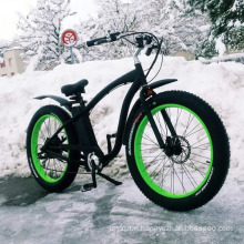 Fat Cruiser Snow Electric Bicycle 48V 1000W